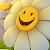 唐季芬 唐季芬