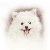小师妹 小师妹