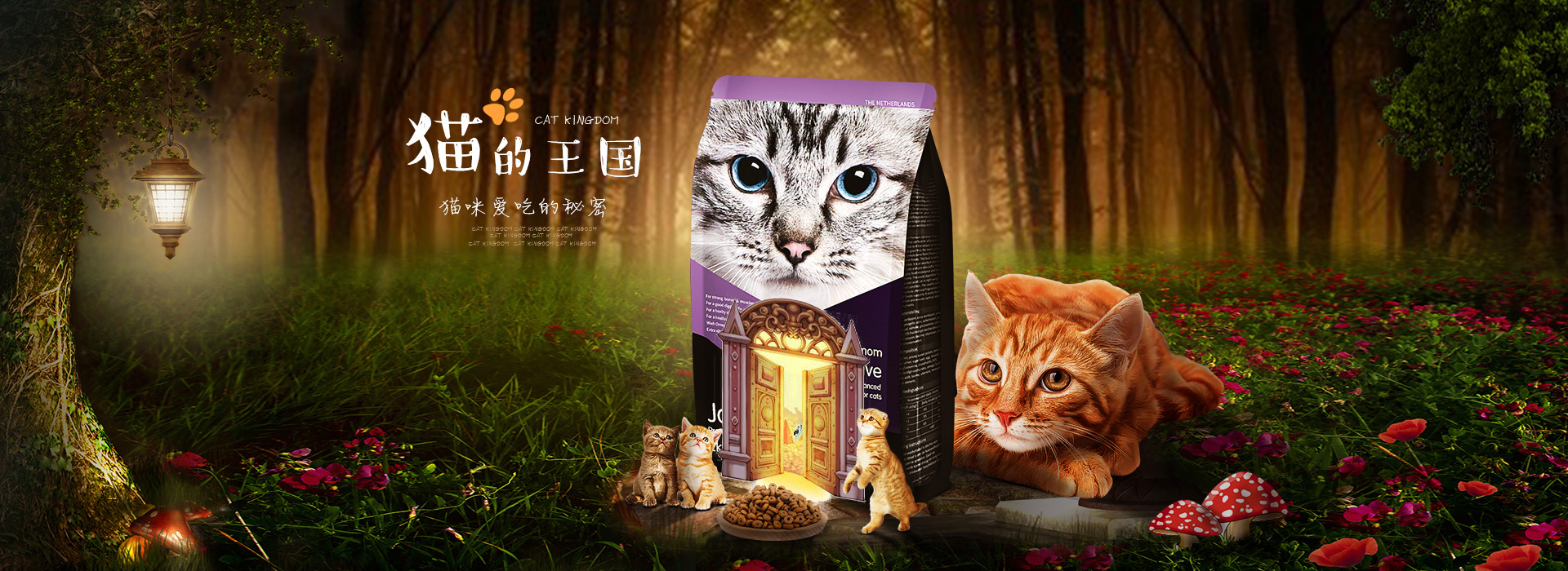 猫粮合成banner