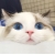 贺翰林 贺翰林
