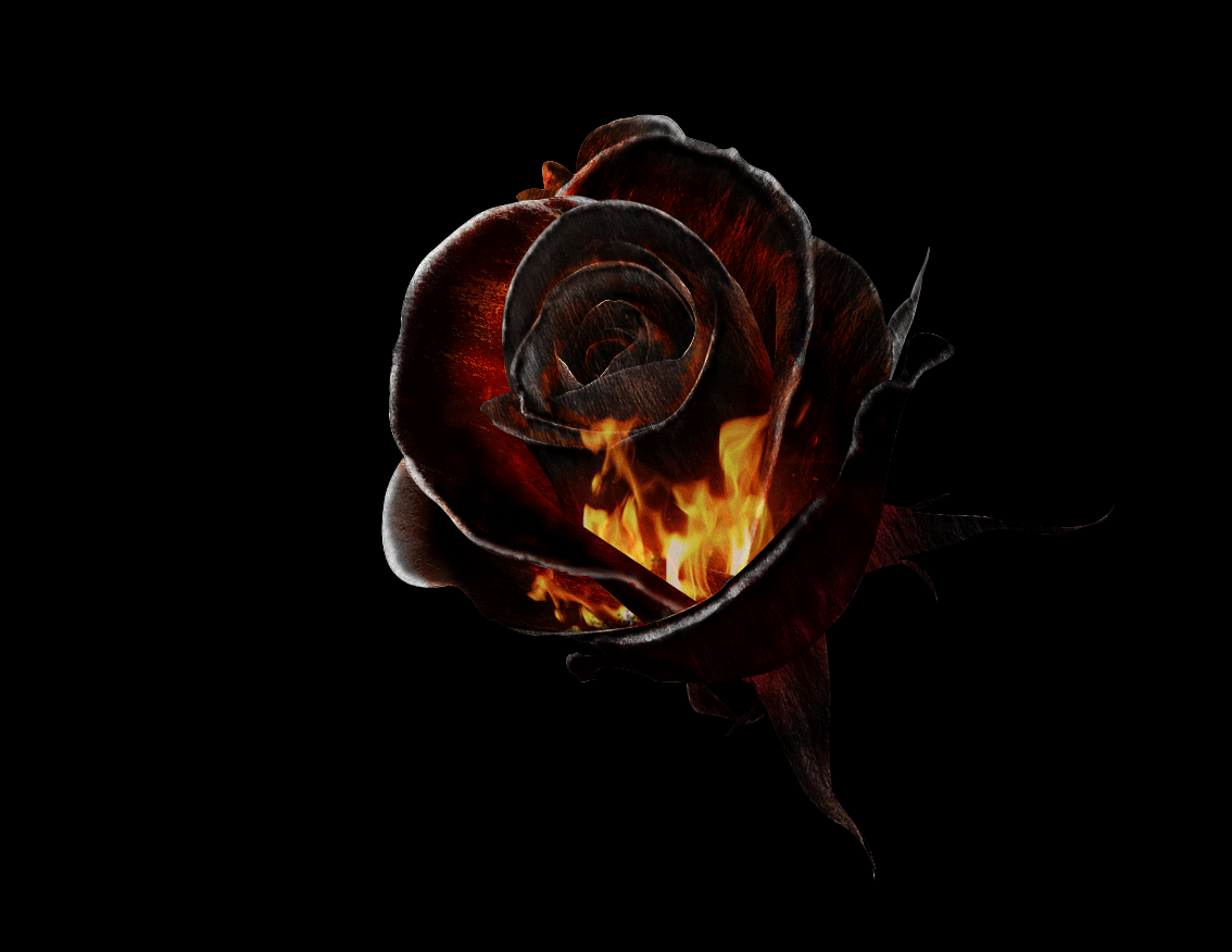 燃烧的玫瑰动图图片