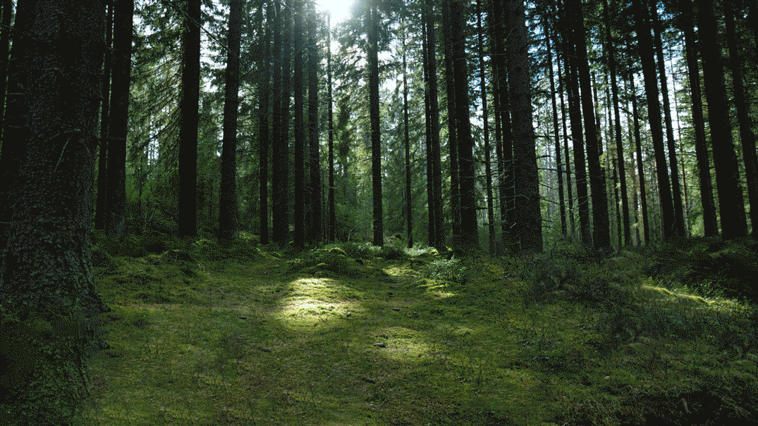 1075_605gif 动态图 动图