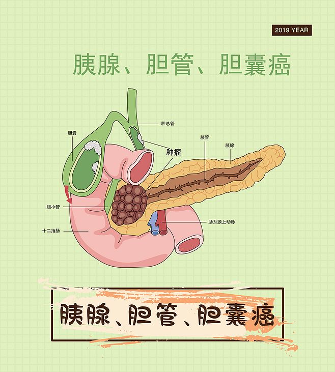 医疗消化系统肿瘤癌症健康