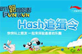 hash追缉令