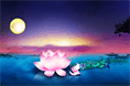 紫夜轻荷