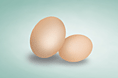 鼠绘鸡蛋