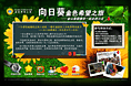 公益网站设计