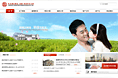 某集团首页设计
