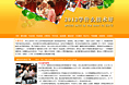 2012学什么技术好