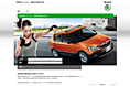 SKODA E-LEARNING平台搭建2011上海虎魄案例