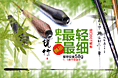 淘宝相关设计图