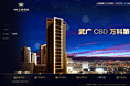 地产项目网站（万科华府）