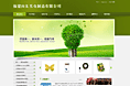 福建向东光电制造有限公司