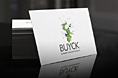 BUYCK的品牌形象设计和VI系统的建立