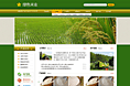 绿色米业公司网站-西安恒泰建站