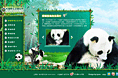长隆熊猫minisite