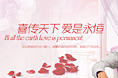 作品集