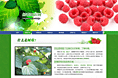 树莓知识网