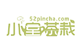 茶叶销售名片