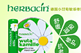 德国洋甘菊