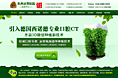 种植牙口腔医疗专题