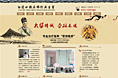 公司网站