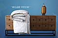 那些年做的预售banner1