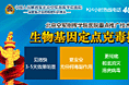 网盟广告图