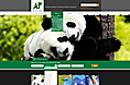 四川特色熊猫旅游的网站