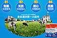 成人奶粉海报
