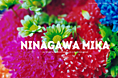 Ninagawa Mika