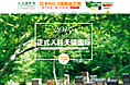 首页设计