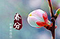 24节气歌