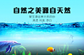 详情页水族用品