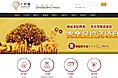 吉林贵金属交易中心 建设宣传型网站
