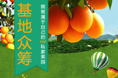 基地众筹