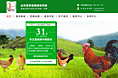 禽畜药品公司营销型网站