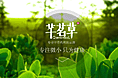品牌