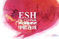 中法交流活动背景