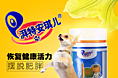 详情页设计宠物保健