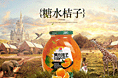 新手入门 求职网页设计