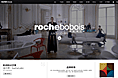 网页设计-罗奇堡