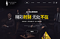 一些企业官网