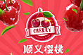 顺义樱桃节