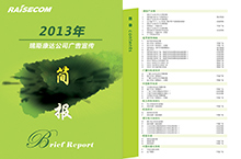 2013简报手册设计