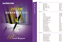 2013简报全年刊