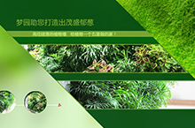 梦园网站banner设计
