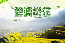 春观油菜花专题页面设计