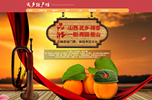 特产梅杏节活动页面