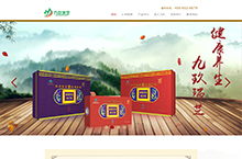 九玖瑞芝官网